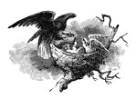 eagle+nest