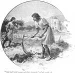 build houses and plant vineyards