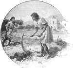 build houses and plant vineyards 2